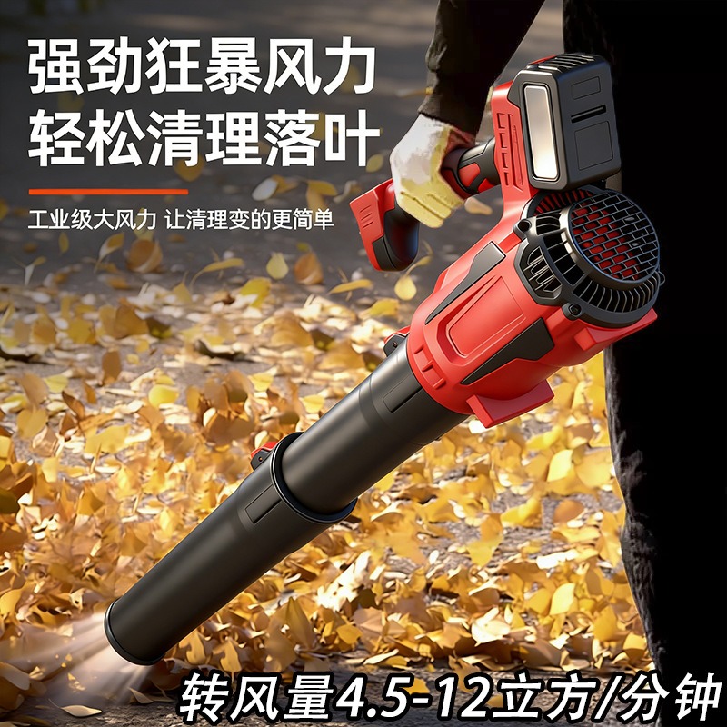 Soffiatore a batteria agli ion - Outdoor Power Tool Kit recensione e prezzo